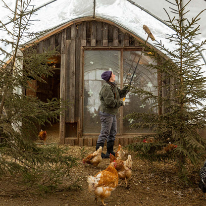 Person feeding chickens in front of a wooden cabin with snow on the roof.